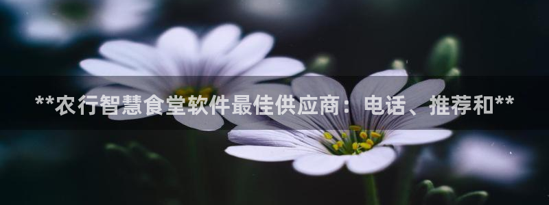 尊龙体育正规么