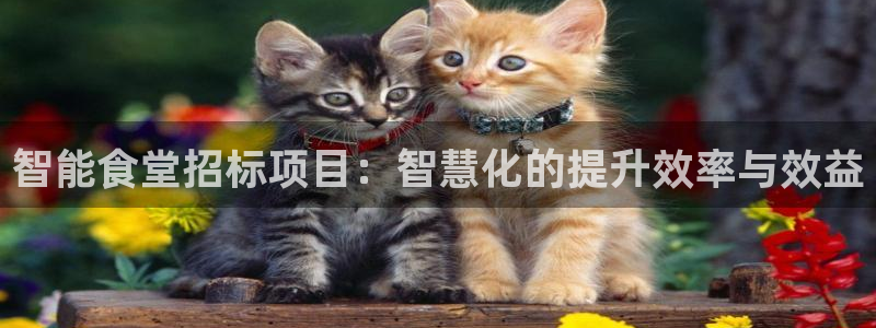 尊龙手机客户端app