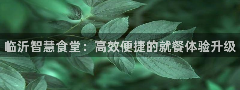 尊龙凯时平台还是万博好