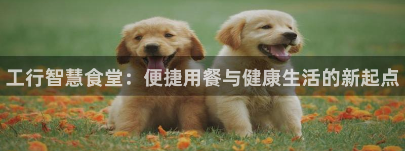 尊龙凯时论坛