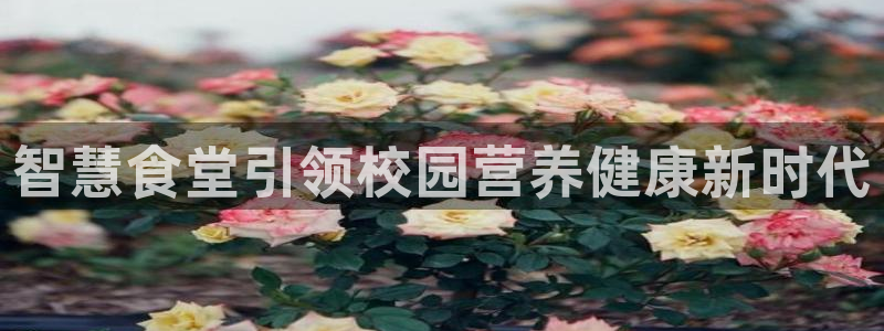 尊龙凯时用户名m