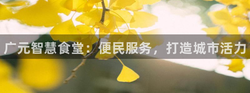 尊龙游戏官方网