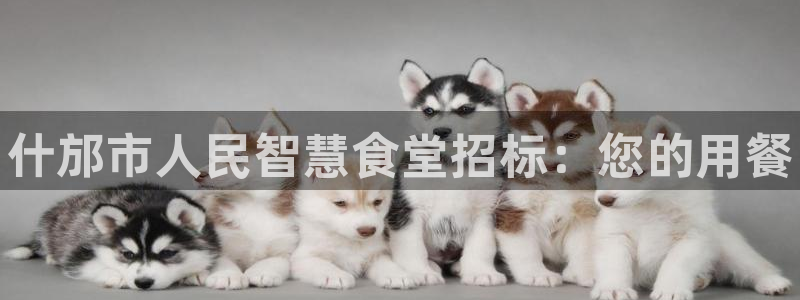 尊龙凯时平台官网