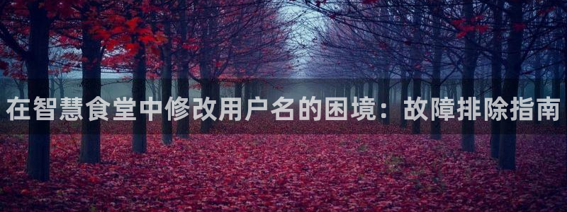 尊龙手机版下载：在智慧食堂中修改用户名的困境：故障排除指南