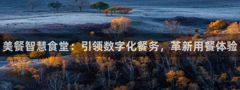 凯时网上官方网站