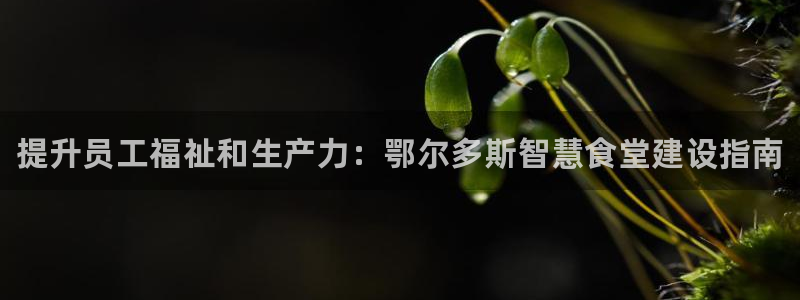 尊龙官网地址：提升员工福祉和生产力：鄂尔多斯智慧食堂建设指南