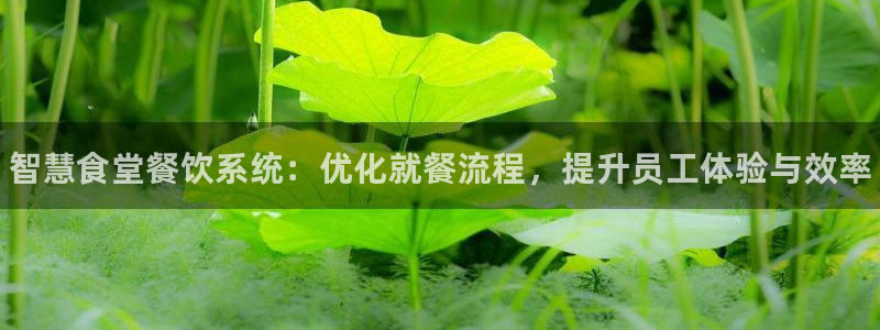 尊龙体育直接访问agbaofu.wang|ag暴富网