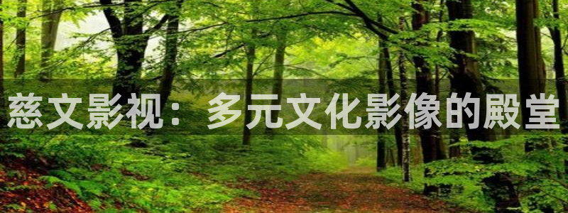 老湿影院噜噜噜