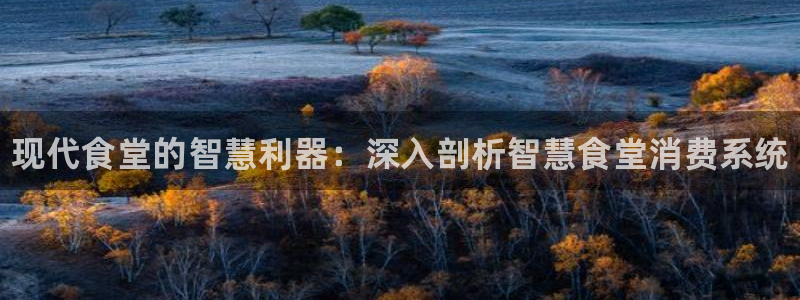 尊龙ag旗舰厅登录 租车app下载：现代食堂的智慧利器：深入