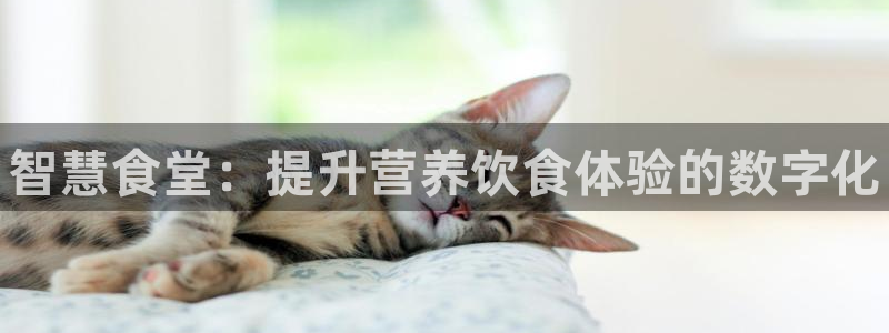 尊龙人生就是博ag旗舰厅